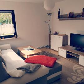 Wohnung am Waldesrand für Monteure