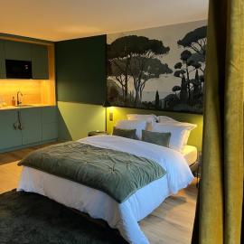 Studios et Appartement meublé de tourisme, hotel v destinaci Altkirch