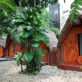 El Búho Bacalar Eco-Cabañas Hostal، فندق في باكالار