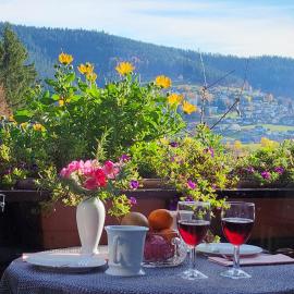 Schwarzwald-Ferienwohnungen Begert, hotel u gradu 'Baiersbronn'