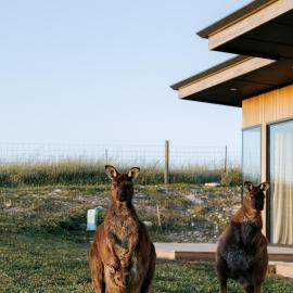 Coast: Stokes Bay şehrinde bir otel