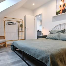 Charming apartment in Miesenheim