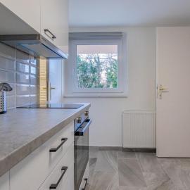 Leaf Song 1
