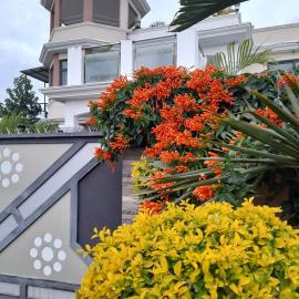 The Octagon wing A, hotel in Beau Vallon
