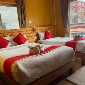 Hotel Fewa Suites Pvt Ltd