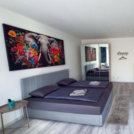 Ruhiges saniertes Apartment bei Hamburg Parkplatz Balkon WLAN