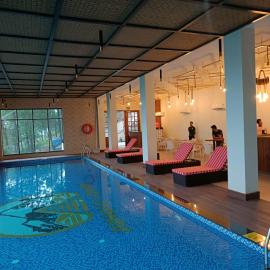 Jungle Lodge Resort & Spa، فندق في كاساولى