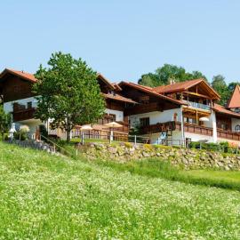 Wellness Ferienwohnungen Zellertalblick，德拉塞斯里德的飯店