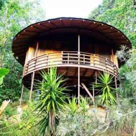 Junglebungalow, hotel Platanillóban