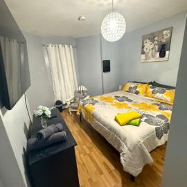 New 3 BR Apt in Elizabeth Railroad Style Path Train Bus Hospital EWR Airport NJ Manhattan NYC, hotel din Elizabeth