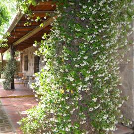 Rumi Huasi Cabañas, hotel in Mina Clavero