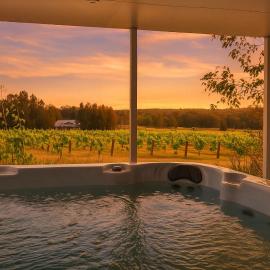 Rose at the Vineyard