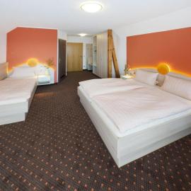 Hotel Sonnental, hotel din Neusorg