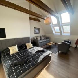 Apartmány Keřová 7, Hotel in Pilsen