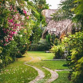 Kariwak Wellness Village, Hotel and Holistic Haven, hotell Crown Pointis