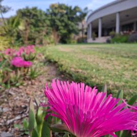 Bokdriftgasteplaas, hotel in Barrydale