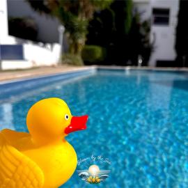 Cozy Escape in Peyia, Sea Caves, hotel in Peyia