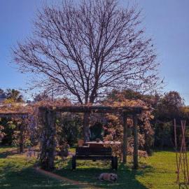 Rincón Campestre Enjoy nature and relax, hótel í Concordia