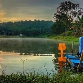 Kerlingfornia Pond View Homestay and Farmstead, hotel a Kerling