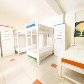 The Youth Hostel - It's a Youth Fame