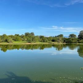 Sunny Home Udawalawa