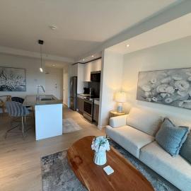 Bright warm & cozy 1 BR in North End Halifax