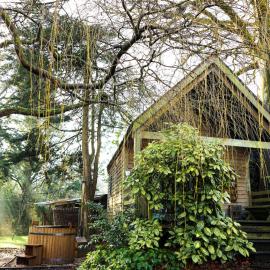 The Beech Hut, Wood Fired Hot Tub, St Kew Escapes, hotel in Saint Kew