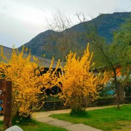 La Estacion Hostel, hotell i Lago Puelo