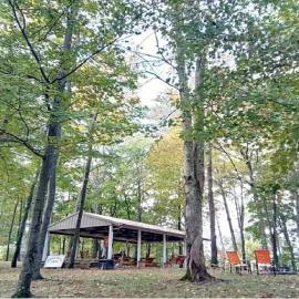 The Evergreen Cabin, Hotel in Lancaster