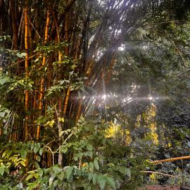 Hiariki Lodge