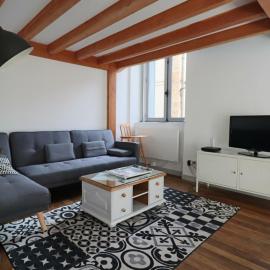 Appartement Loft en Centre-Ville, 4 Pers., Parking Privé - FR-1-858-17