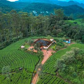 Viriparai Tea Bungalow Munnar by VOYE HOMES - Surrounded by Tea Plantations, hotel u gradu Munar