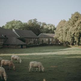 Aan 't Laantje, hotel in Wittem
