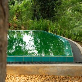 Evergreen Hideout by Tequila Holidays