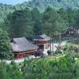 Than Uyên Pineforest Homestay, hotel a Bản Kiem