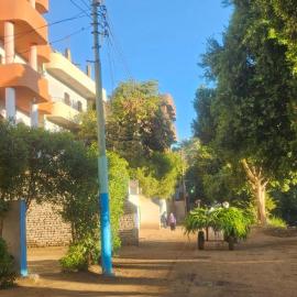 Luxor Adventure Guest House, hotel in Al Aqālitah