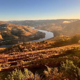Cozy House with Douro View, Hotel in Lamego