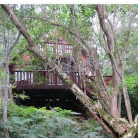 Peaceful Forest Getaway in Natures Valley, hotel in Natureʼs Valley
