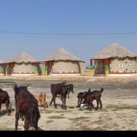 Rann Roshni homestay, hotel a Bherandiāla