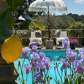 Les Pervenches - B&B Cottages en Lorgues