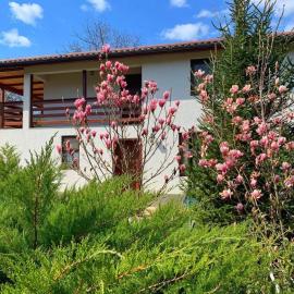 Casa Nopcea, hotel v destinaci Silvaşu de Sus