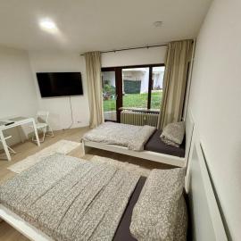 Charmantes Einzimmer Apartment in Kehl