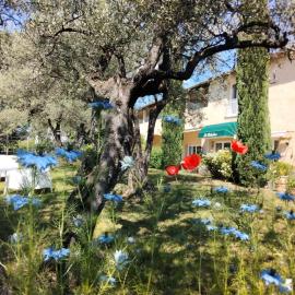 La Picholine en Provence, hotel sa Nyons