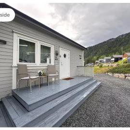 Moderne familie hus