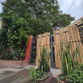 Casa del Árbol Xochimilco