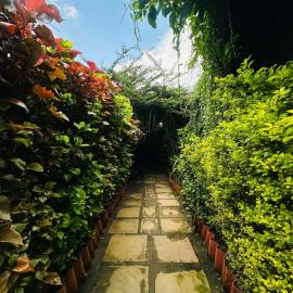 Istaqbal Hotel Mukki, hotel i Kanha