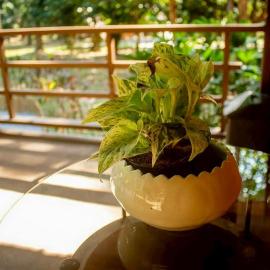 Baan Boon Homestay
