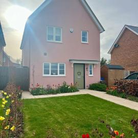 The Pink House