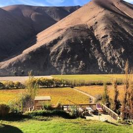 Cabañas Elquimista, hotel din Pisco Elqui