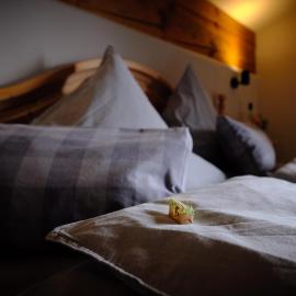 Desiree`s Dahuim, Hotel in Bad Hindelang